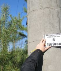 ВИК и ТК ВЛ 10 кВ НПС "Приводино" Вологодского РНУ АО "Транснефть-Север"